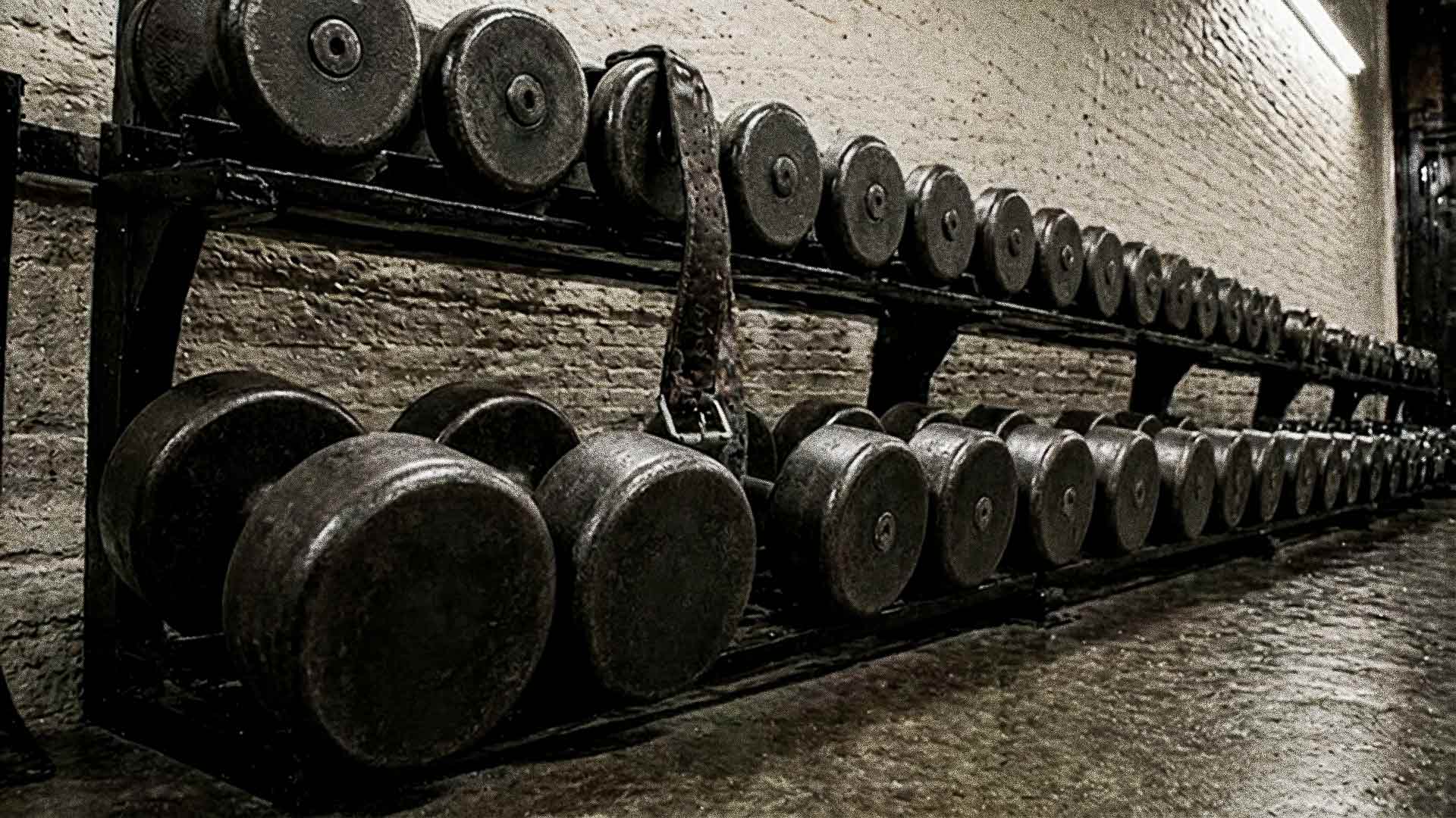 SE Drops kit-alone dumbbell rack, GYMHOOD
